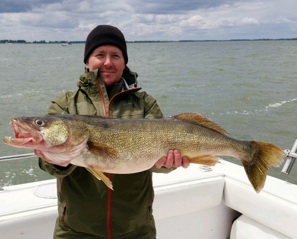 A lunker of a walleye